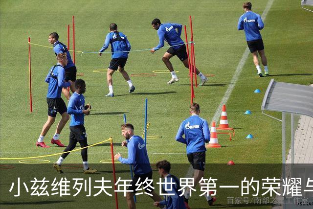小兹维列夫年终世界第一的荣耀与争议，阿尔卡拉斯重返维也纳赛事