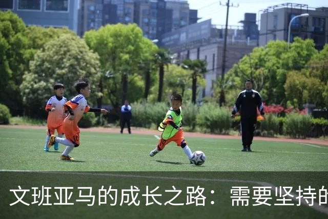 文班亚马的成长之路：需要坚持的好习惯